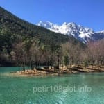 Avatar de Carolina Sandoval